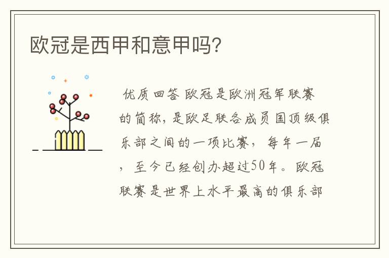 欧冠是西甲和意甲吗?