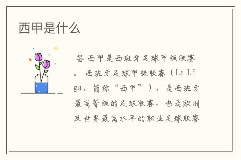 西甲是什么