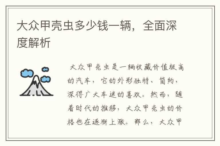 大众甲壳虫多少钱一辆,全面深度解析
