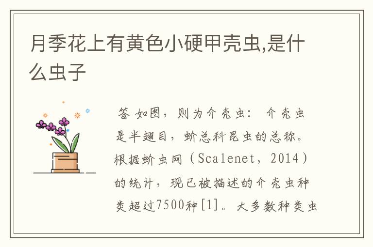 月季花上有黄色小硬甲壳虫,是什么虫子