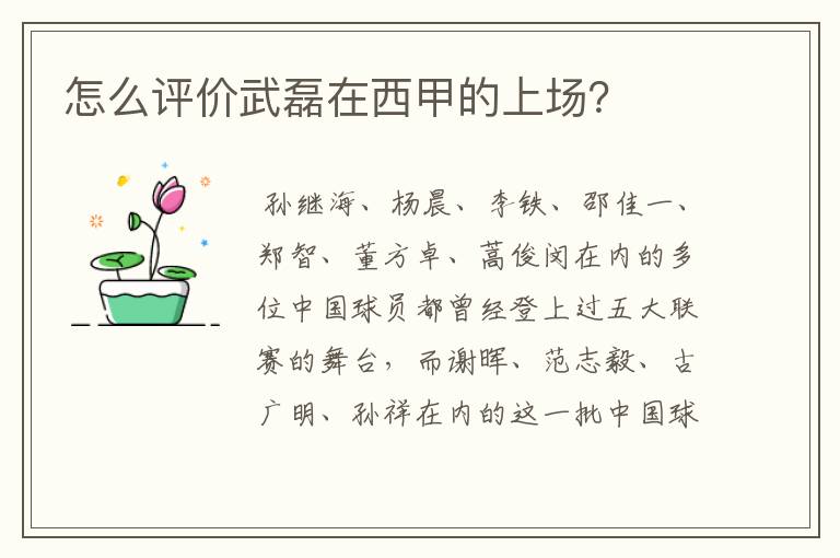 怎么评价武磊在西甲的上场?