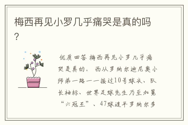 梅西再见小罗几乎痛哭是真的吗?