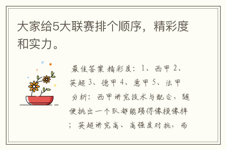 大家给5大联赛排个顺序,精彩度和实力。