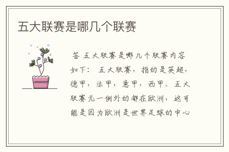 五大联赛是哪几个联赛