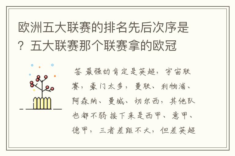 欧洲五大联赛的排名先后次序是?五大联赛那个联赛拿的欧冠