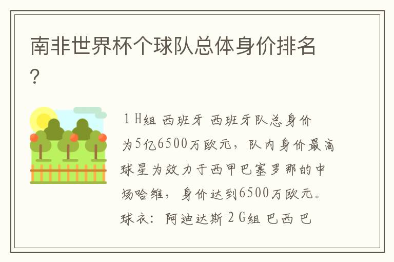 南非世界杯个球队总体身价排名?
