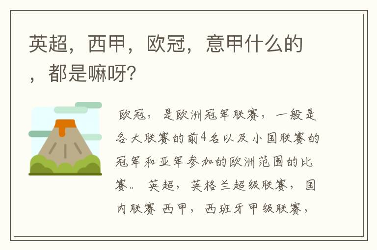 英超,西甲,欧冠,意甲什么的,都是嘛呀?