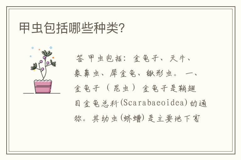 甲虫包括哪些种类?