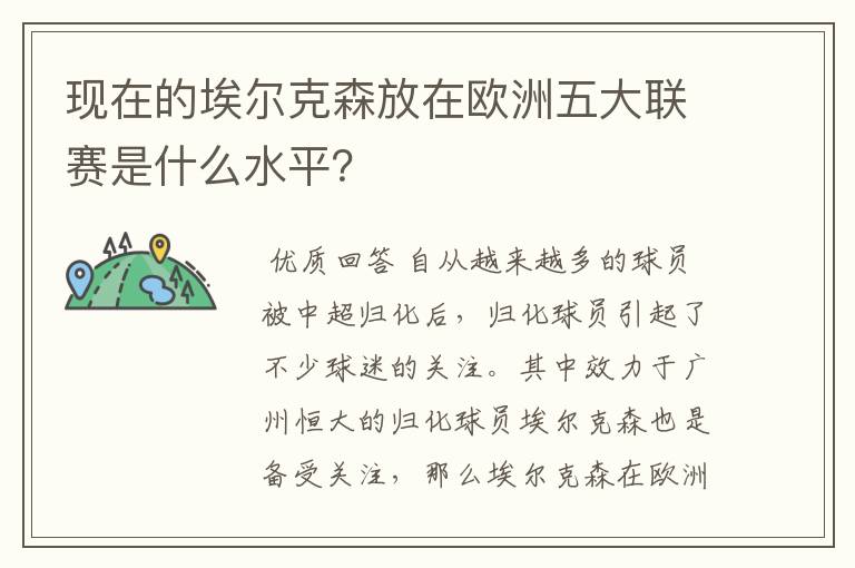 现在的埃尔克森放在欧洲五大联赛是什么水平?