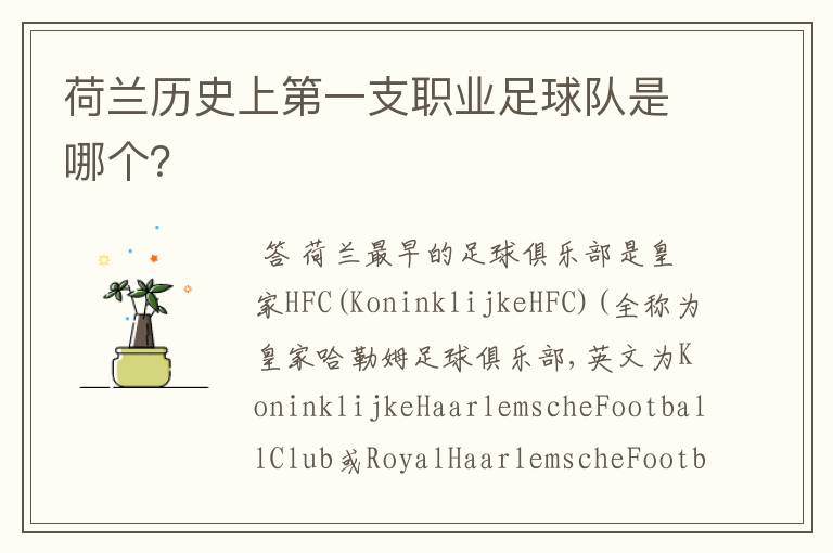 荷兰历史上第一支职业足球队是哪个?