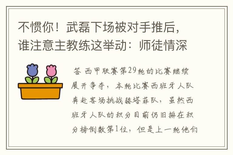不惯你!武磊下场被对手推后,谁注意主教练这举动:师徒情深啊