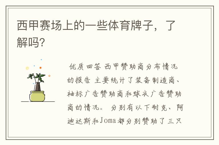西甲赛场上的一些体育牌子,了解吗?