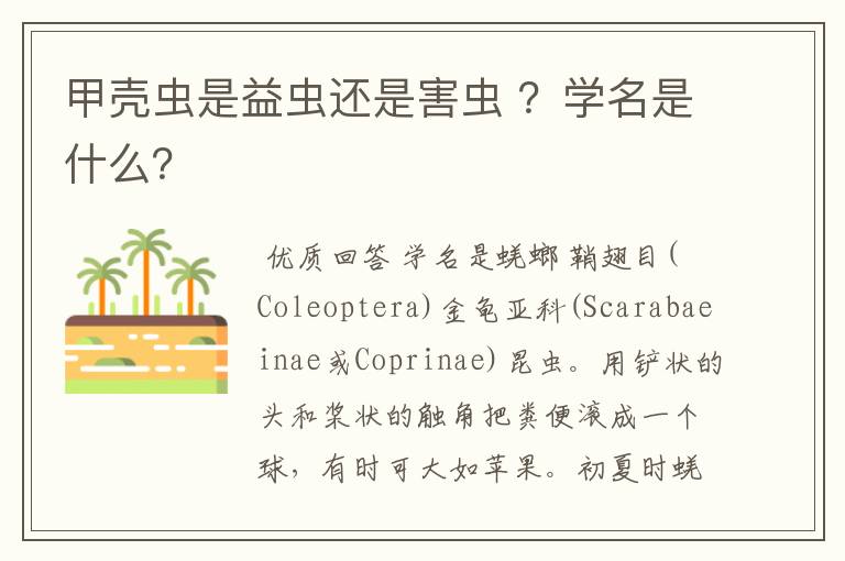 甲壳虫是益虫还是害虫 ?学名是什么?