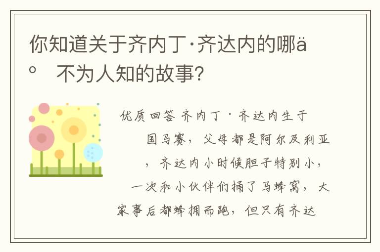 你知道关于齐内丁·齐达内的哪些不为人知的故事？