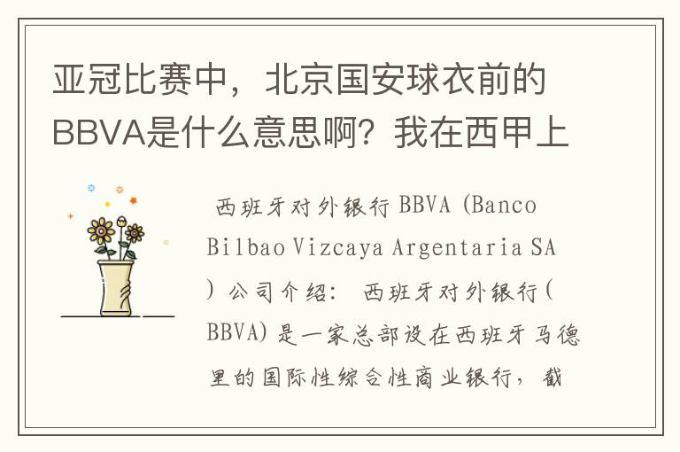 亚冠比赛中,北京国安球衣前的BBVA是什么意思啊?我在西甲上好像也见到过