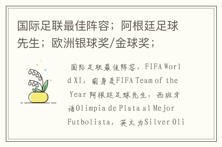 国际足联最佳阵容;阿根廷足球先生;欧洲银球奖/金球奖;《世界足球》评选世界最佳球员;用英文怎么说?
