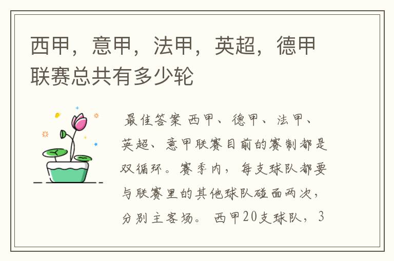 西甲,意甲,法甲,英超,德甲联赛总共有多少轮