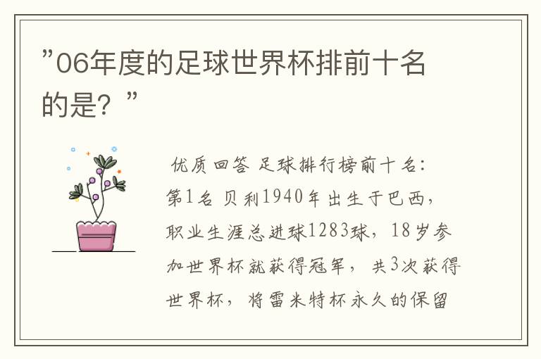 ”06年度的足球世界杯排前十名的是?”