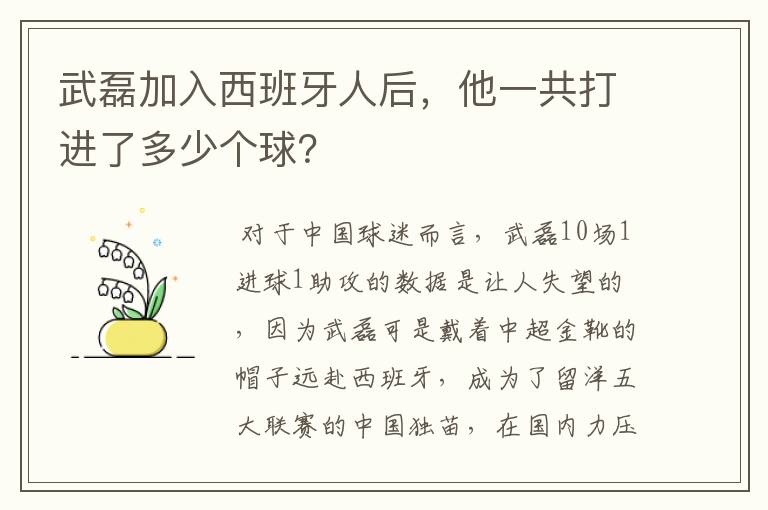武磊加入西班牙人后,他一共打进了多少个球?