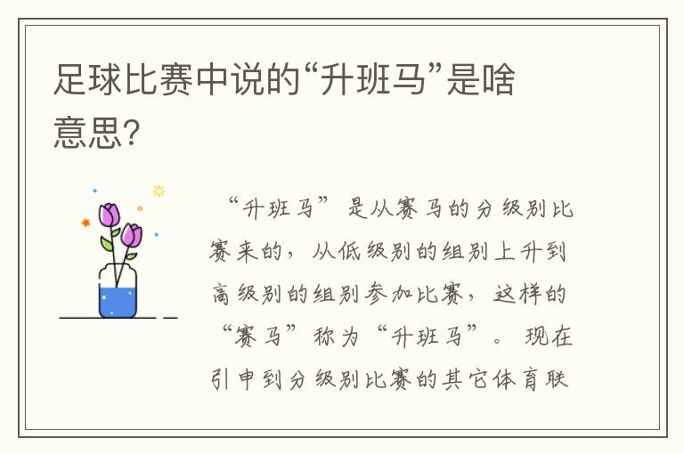 足球比赛中说的“升班马”是啥意思?
