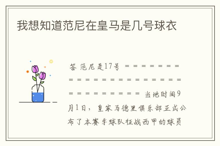我想知道范尼在皇马是几号球衣