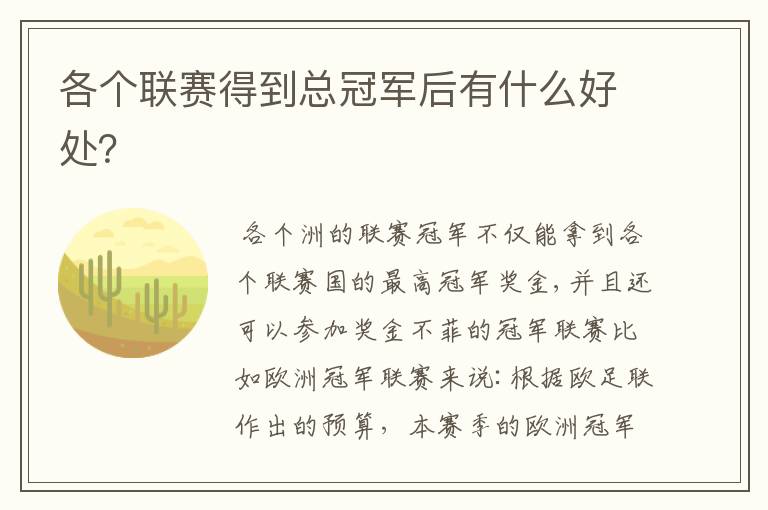 各个联赛得到总冠军后有什么好处?