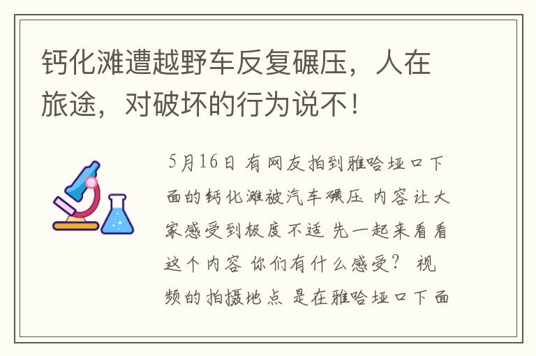 钙化滩遭越野车反复碾压,人在旅途,对破坏的行为说不!