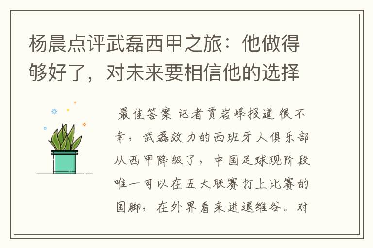 杨晨点评武磊西甲之旅:他做得够好了,对未来要相信他的选择