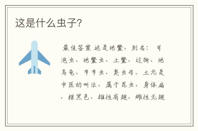 这是什么虫子?