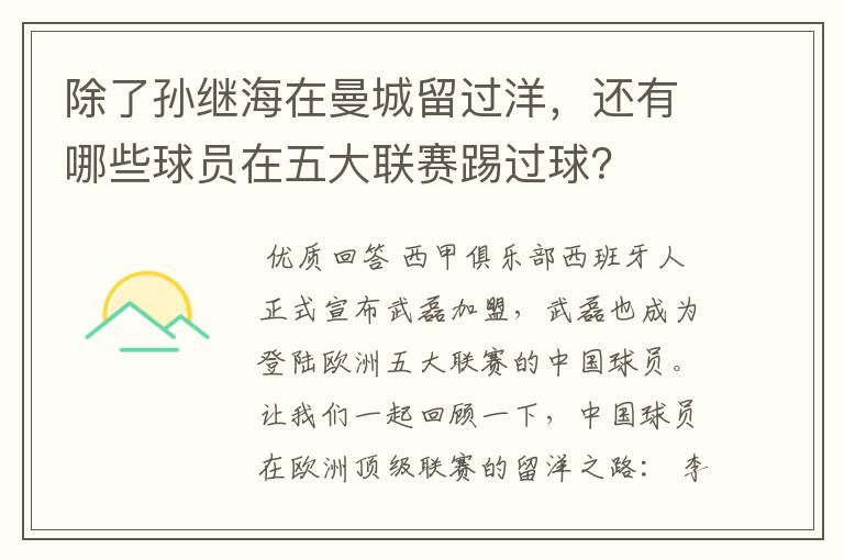 除了孙继海在曼城留过洋,还有哪些球员在五大联赛踢过球?