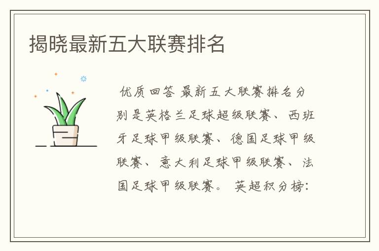 揭晓最新五大联赛排名
