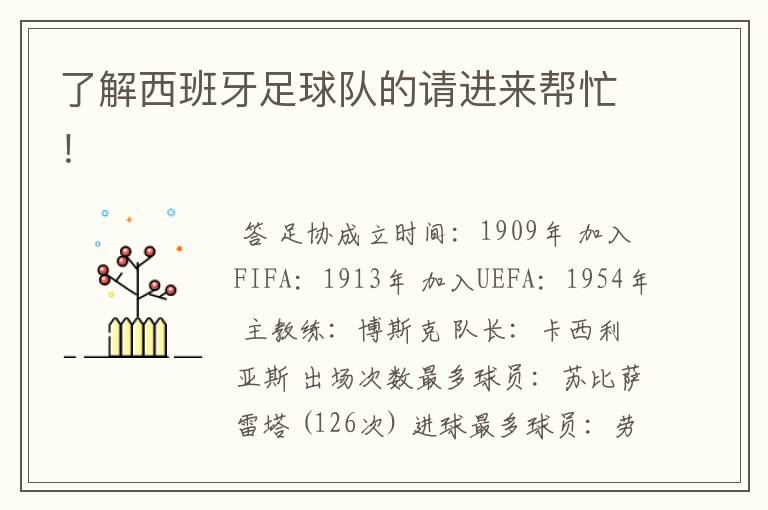 了解西班牙足球队的请进来帮忙!