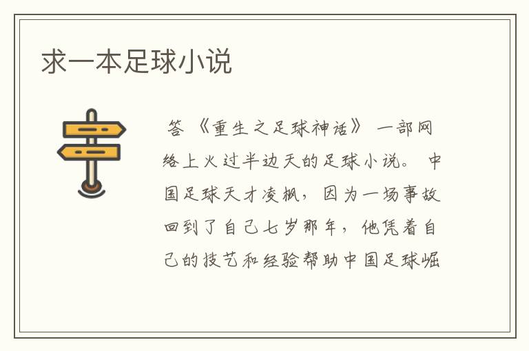 求一本足球小说
