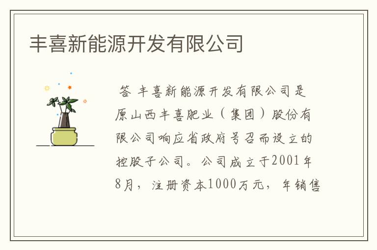 丰喜新能源开发有限公司