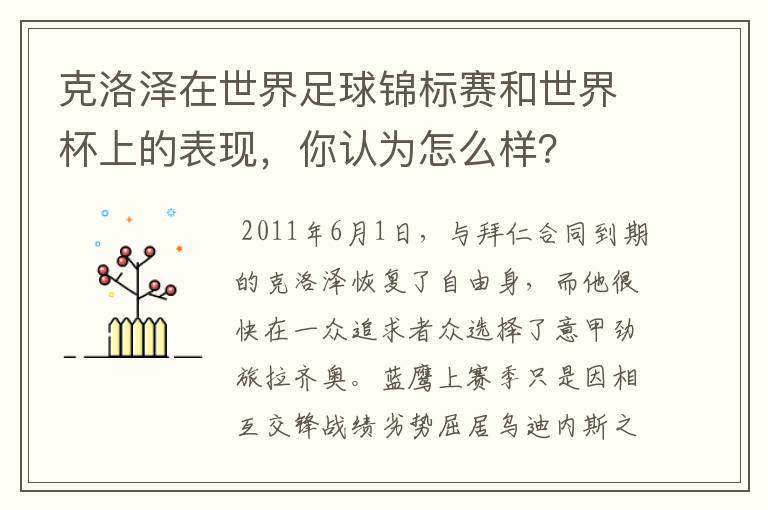 克洛泽在世界足球锦标赛和世界杯上的表现,你认为怎么样?