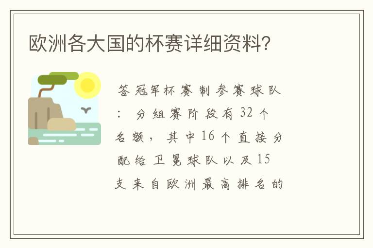 欧洲各大国的杯赛详细资料?