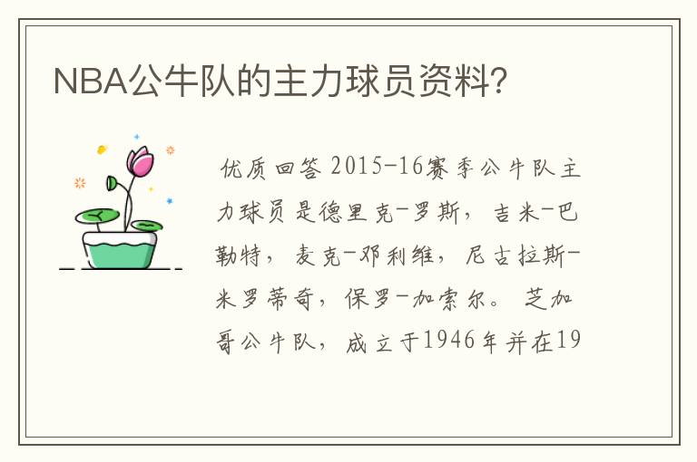 NBA公牛队的主力球员资料?