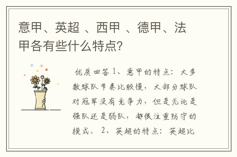 意甲、英超 、西甲 、德甲、法甲各有些什么特点?