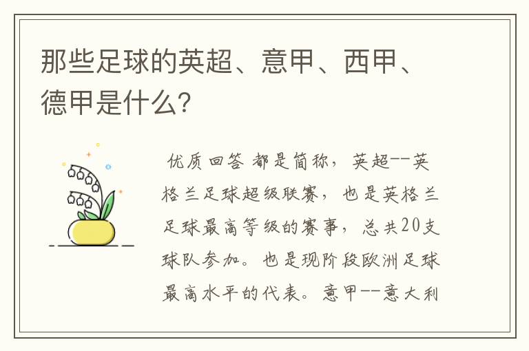 那些足球的英超、意甲、西甲、德甲是什么?