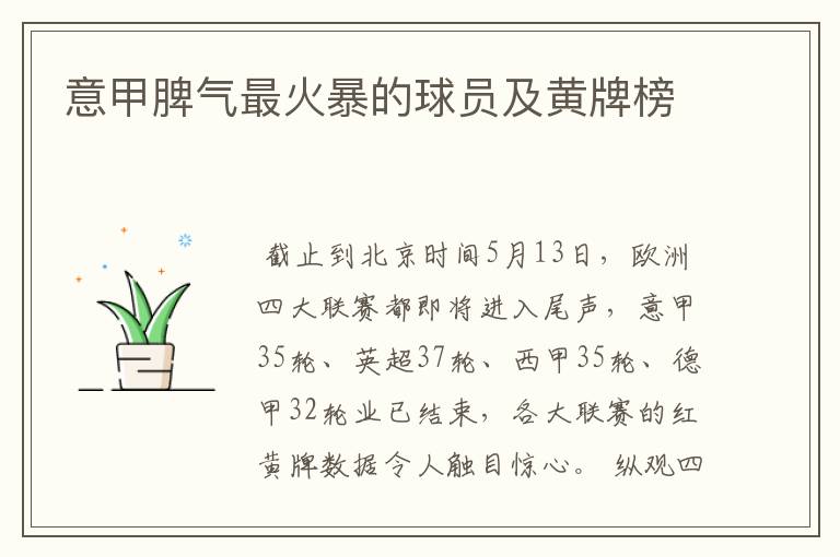意甲脾气最火暴的球员及黄牌榜