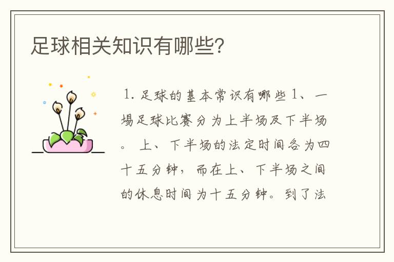 足球相关知识有哪些?