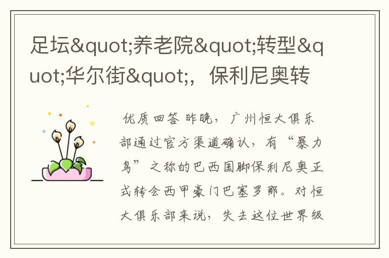 足坛"养老院"转型"华尔街",保利尼奥转会谁是最大赢家