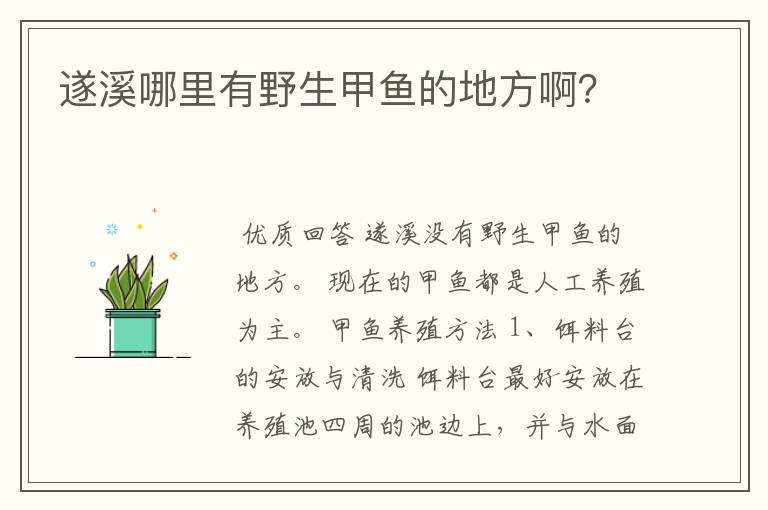 遂溪哪里有野生甲鱼的地方啊?