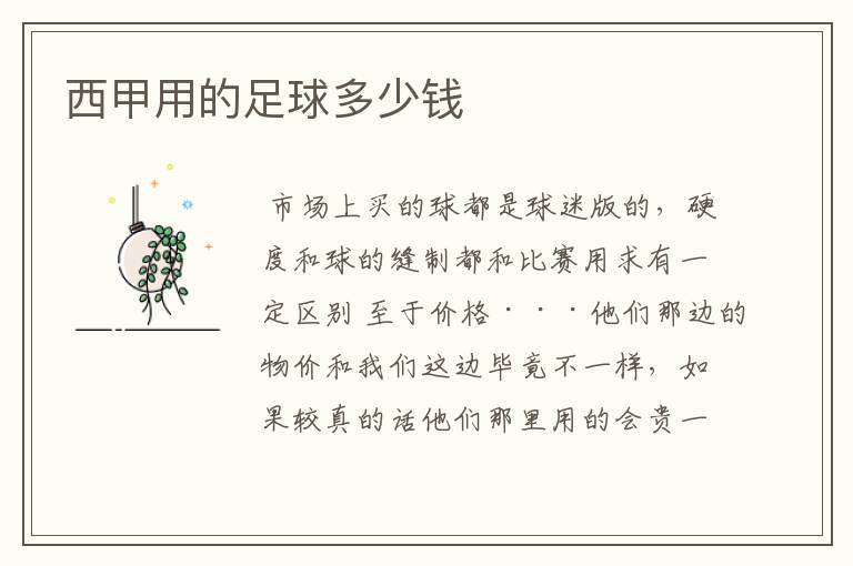 西甲用的足球多少钱