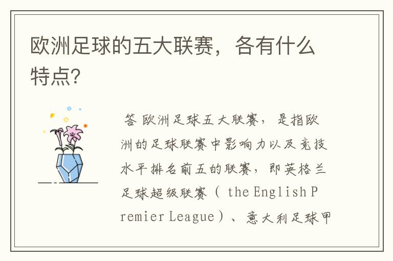 欧洲足球的五大联赛,各有什么特点?