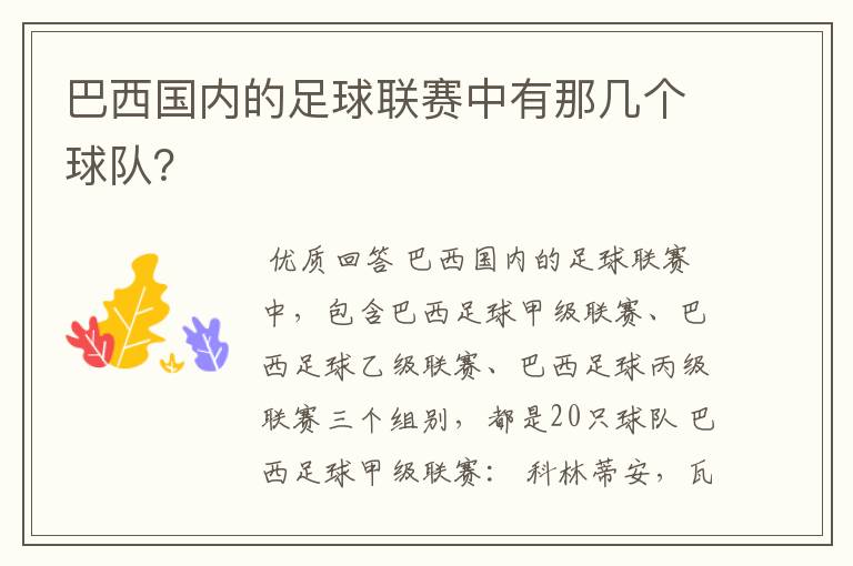 巴西国内的足球联赛中有那几个球队?