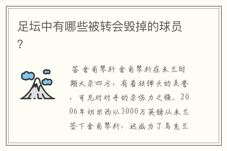 足坛中有哪些被转会毁掉的球员?