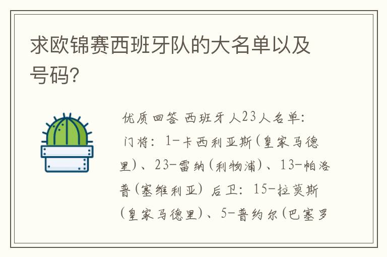求欧锦赛西班牙队的大名单以及号码?