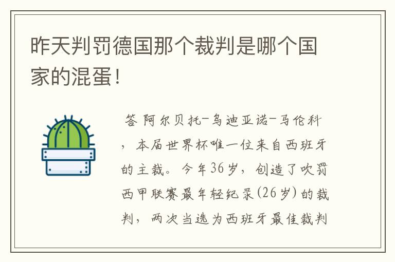 昨天判罚德国那个裁判是哪个国家的混蛋!