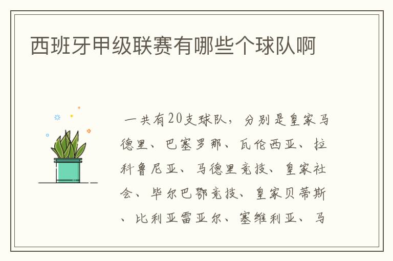 西班牙甲级联赛有哪些个球队啊